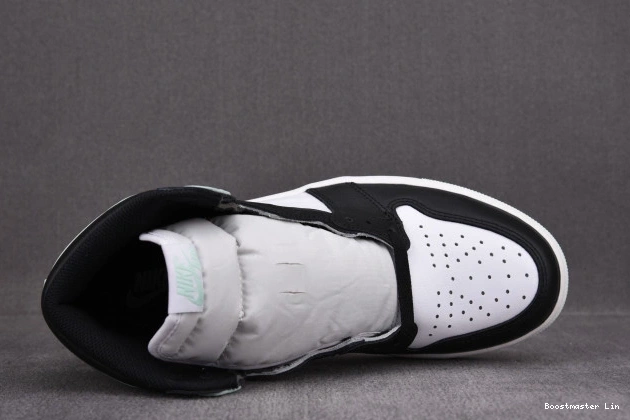 Boostmaster lin Jordan Retro High 861428-100 Igloo 1 0704